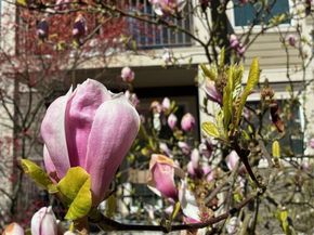 700 Front Street S E206, Issaquah WA 98027
