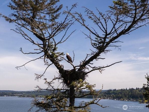 6418 E Mercer Way, Mercer Island WA 98040