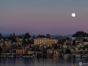 2420 8th Avenue N 201, Seattle WA 98109