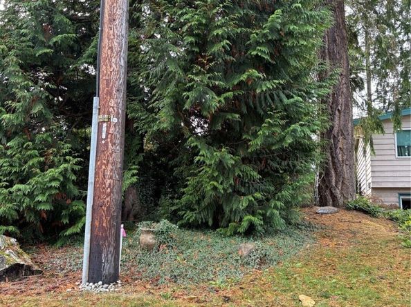 15375 SE 22nd Place, Bellevue WA 98007