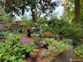 15375 SE 22nd Place, Bellevue WA 98007