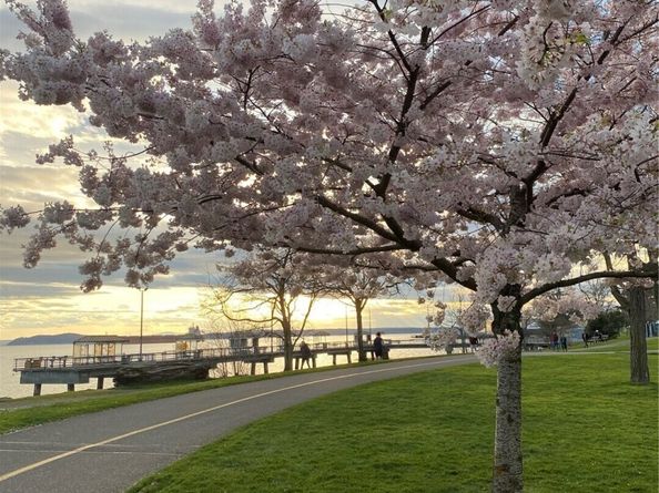 500 Elliott Avenue W 504, Seattle WA 98119