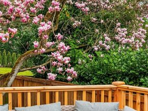 240 W Lake Sammamish Parkway SE, Bellevue WA 98008