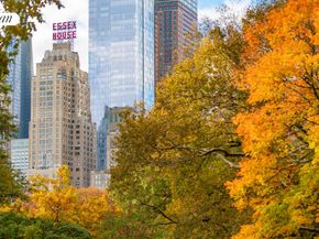 160 Central Park S 401A, New York NY 10019