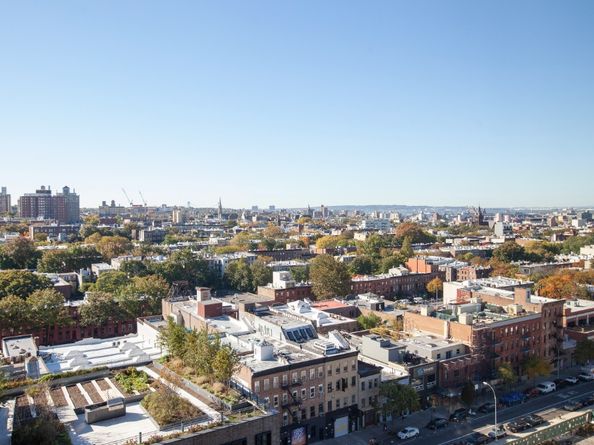 550 Vanderbilt Avenue 1203, Brooklyn NY 11238