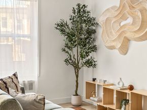 651 Vanderbilt Street R2, Brooklyn NY 11218