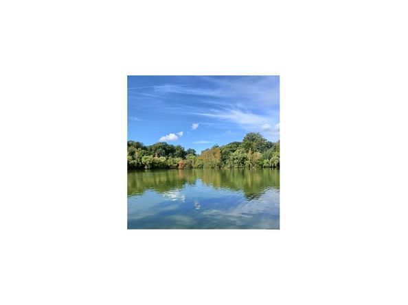 46-18 161st Street C4, Queens NY 11358