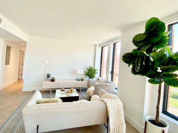 78 Amity Street 4B, Brooklyn NY 11201