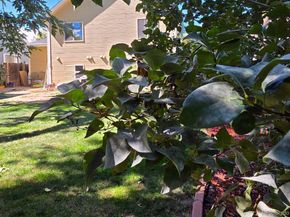 Undisclosed Address #3311383, Aurora CO 80015
