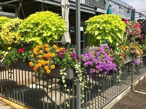 5875 E Iliff Avenue 306, Denver CO 80222