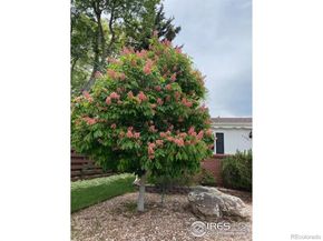 3255 20th Street, Boulder CO 80304