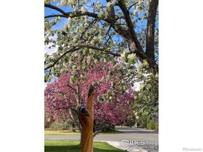 3255 20th Street, Boulder CO 80304