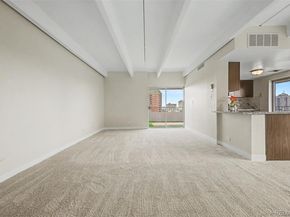 130 N Pearl Street 1103, Denver CO 80203