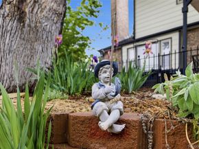 14492 W 70th Place, Arvada CO 80004