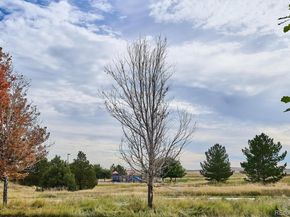 2029 S Flanders Way C, Aurora CO 80013