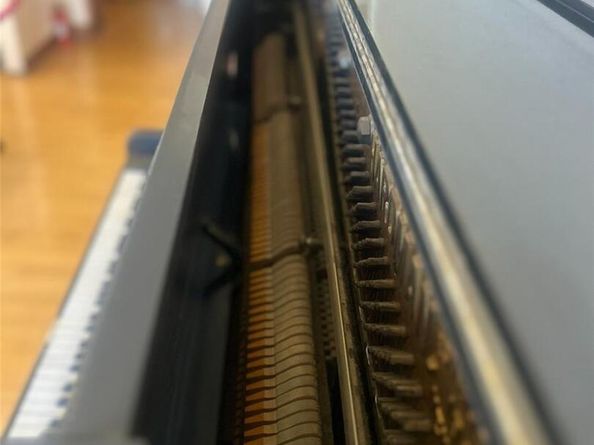 2351 Federal Boulevard 304, Denver CO 80211