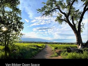 5105 Vivian Street, Wheat Ridge CO 80033