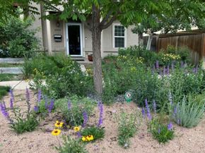 2933 Lawrence Street, Denver CO 80205