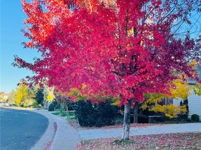 16866 E Peakview Avenue, Aurora CO 80016
