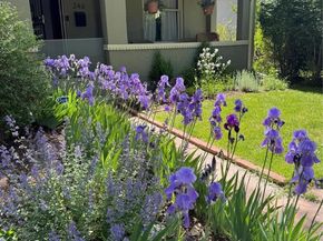 246 S Grant Street, Denver CO 80209