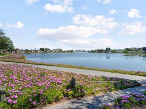 653 Celestial Lane, Foster City CA 94404