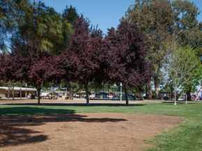 1177 Redrock Court, Sunnyvale CA 94089