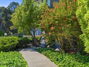 4100 George Avenue 3, San Mateo CA 94403