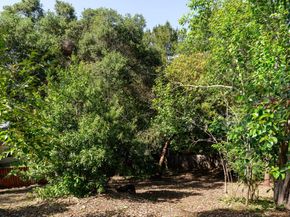 20 Angela Court, Scotts Valley CA 95066