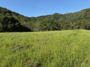 00 Almaden, San Jose CA 95120