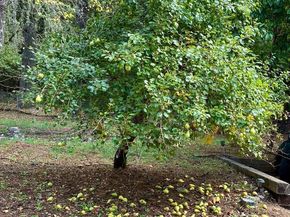 Undisclosed Address #ML82041404, Santa Cruz CA 95060