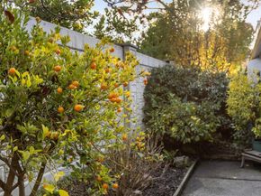 2445 Sharon Oaks Drive, Menlo Park CA 94025