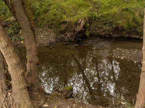 1416 Flores Drive, Pacifica CA 94044