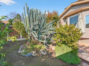 1043 Locust Street, San Jose CA 95110