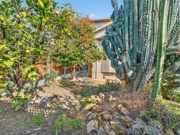 1043 Locust Street, San Jose CA 95110