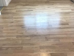 2469 Olive Avenue, San Jose CA 95128