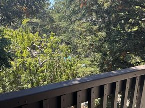 3322 Brittan Avenue 11, San Carlos CA 94070