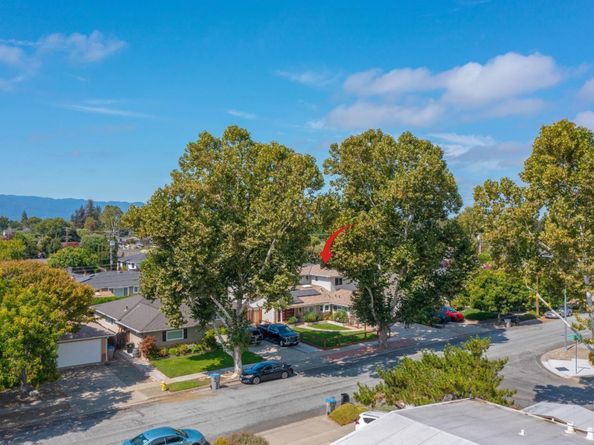 2425 Briarwood Drive, San Jose CA 95125