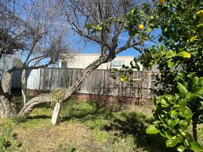 516 Bird Avenue, San Jose CA 95125