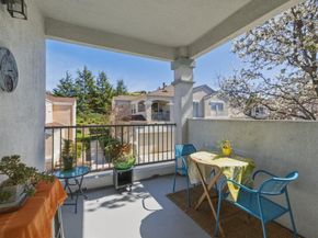 914 Brea Lane, San Jose CA 95138