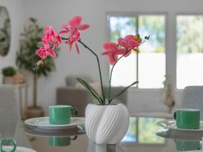 2582 Tosca Way, San Jose CA 95121