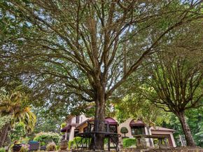 780 Calabasas Road, Watsonville CA 95076