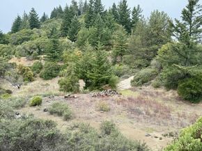 105 Silverline Road, Los Gatos CA 95033