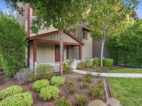 247 Peppermint Tree Terrace 5, Sunnyvale CA 94086