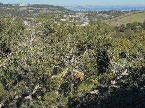 2758 Belmont Canyon Road, Belmont CA 94002