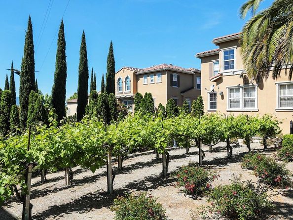 585 Adeline Avenue, San Jose CA 95136