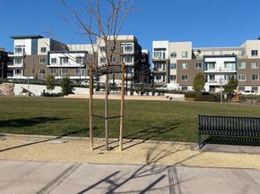 585 Adeline Avenue, San Jose CA 95136