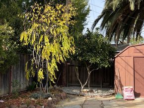 537 Mayellen Avenue, San Jose CA 95126