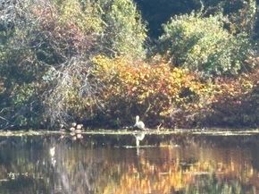 27 Ell Rd, Holbrook MA 02343