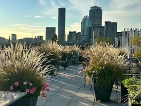1180-1200 Washington St 121, Boston MA 02118