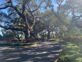 9420 Poinciana Pl 214, Davie FL 33324